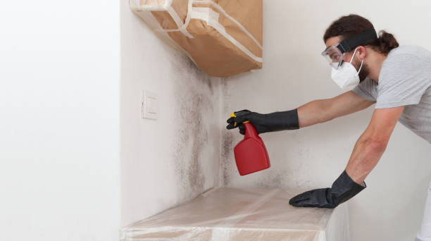 Professional Bathroom Mold Removal technician working in Glenville, PA